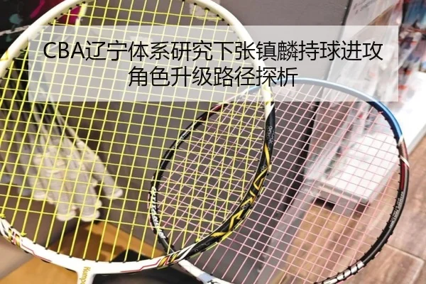 CBA辽宁体系研究下张镇麟持球进攻角色升级路径探析